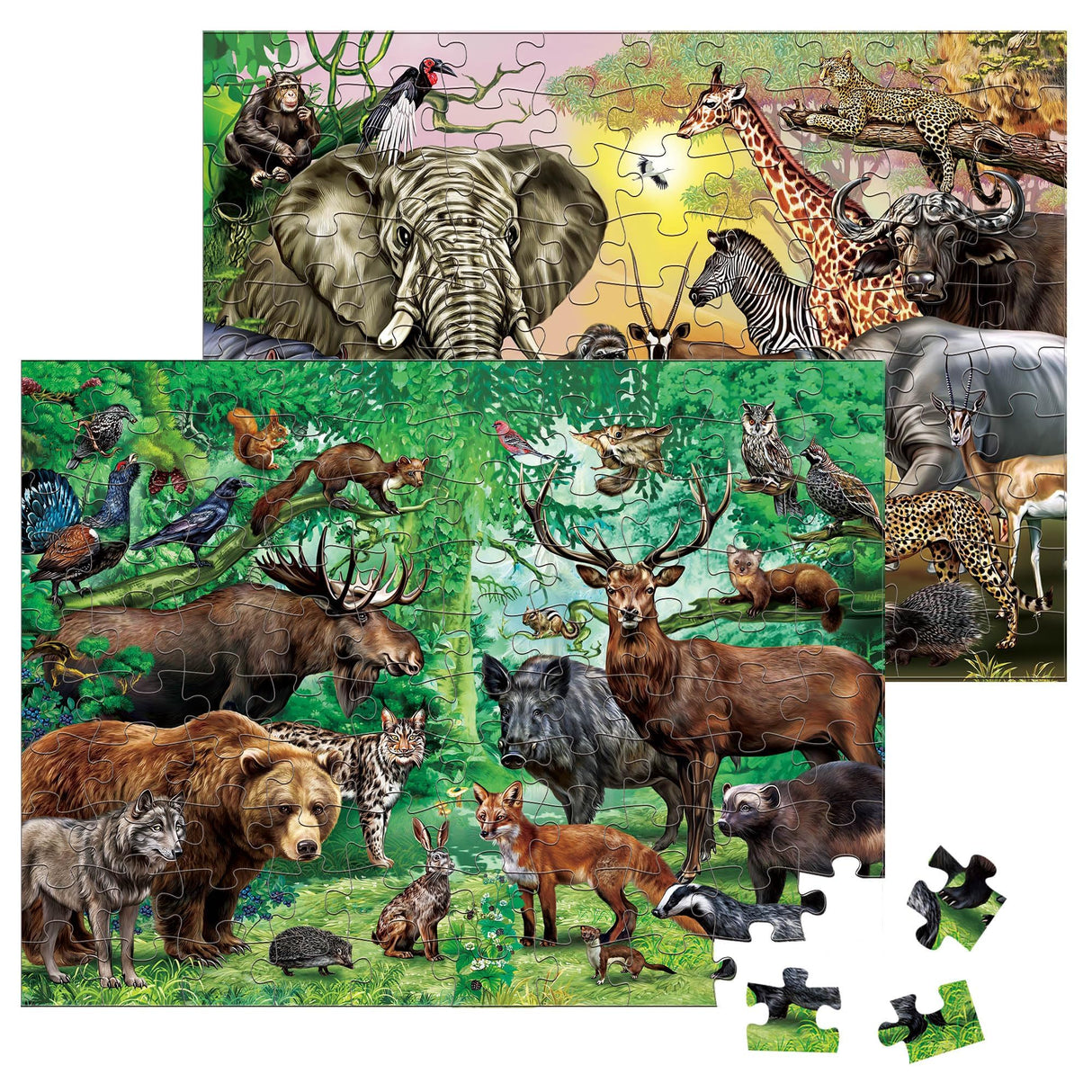 BenBen Puzzles for Kids Ages 4-6, Double Sided 100 Piece Puzzles for Kids, Wild Animals, Learning Educational Jigsaw Puzzles Toys for Boys Girls (15.75” x 11.75”) BenBen