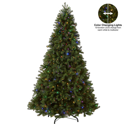 National Tree Company Pre-Lit 'Feel Real' Artificial Full Downswept Christmas Tree, Green, Douglas Fir, Dual Color LED Lights, Includes Stand and PowerConnect, 9 feet