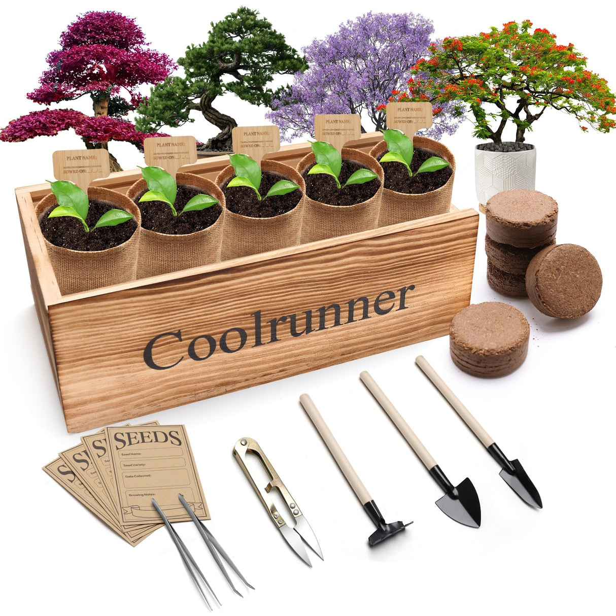 Bonsai Tree Kit, Wooden Bonsai Starter Kit, Coolrunner Bonsai Tree Starter Kit, Mini Bonsai Plant Growing Kit with Seeds Packets, Soil Discs, Jute Bags, Plant Markers, Gardening Tools etc (No Seeds) Coolrunner