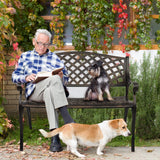 VINGLI 40.5" Patio Garden Bench,Anti- Rust Cast Iron Cast Aluminum Frame for Outdoor Path Yard Lawn Work Entryway Decor Deck (Brown) VINGLI