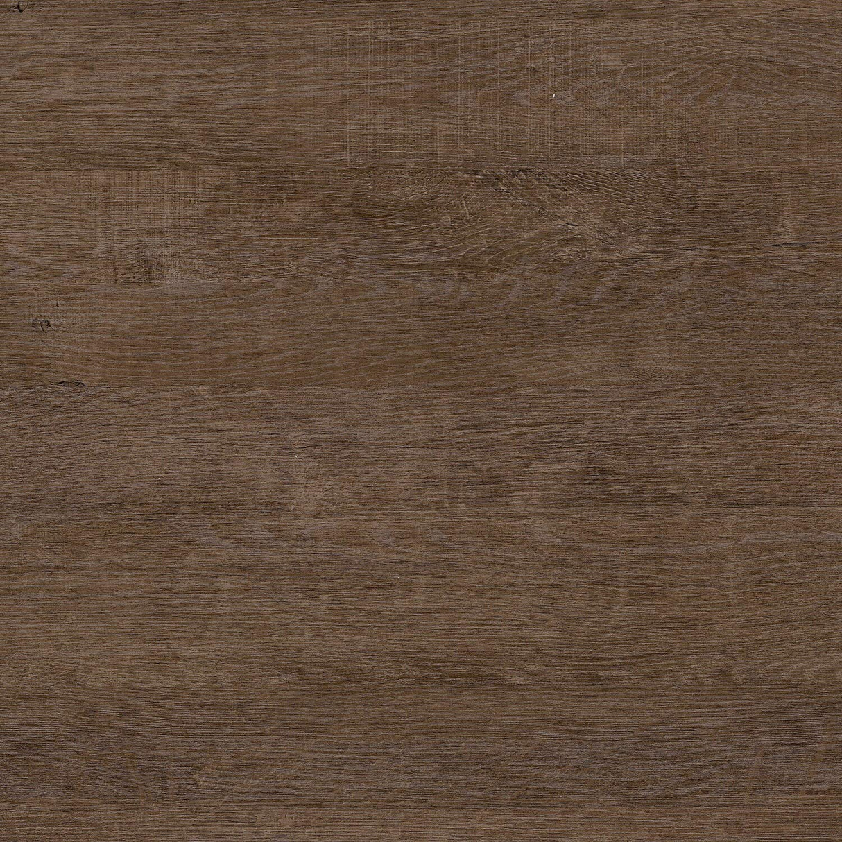 Bush Furniture Salinas 5 Shelf Bookcase in Ash Brown, Tall Bookshelf, Large Book Shelf for Living Room, Home Office, or Entryway Bush Furniture