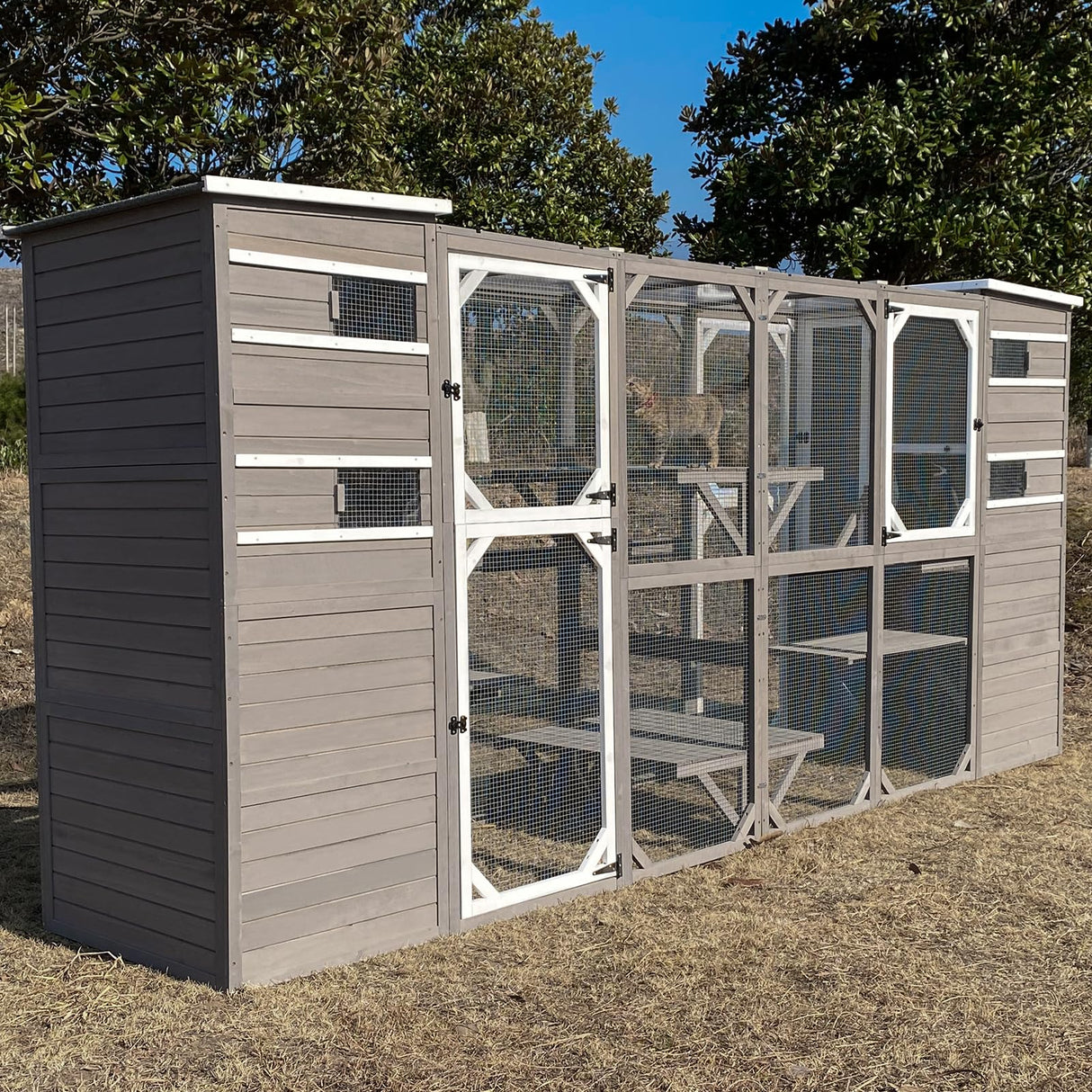 PetsCosset Cat Enclosure Outdoor, Large Catio Cat House Weatherproof Attached to Window for Multi Cats, Asphalt and UV Protection Roofs, Multi Platforms-Combinable-71 H 77L PetsCosset