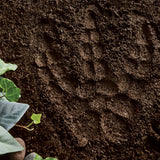 MindWare Paint Your Own Stepping Stone: Dinosaur Footprint – Weather-Resistant 8.5-inch x 10-inch Stepping Stones Kids Craft Kit - Includes Paint, Brushes and Instructions – Ages 8 and Up MindWare