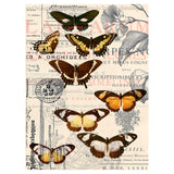 Pintoo Jigsaw Puzzles 300 Piece for Adults - Butterfly Pattern Easy Storage Snug Interlocking Plastic Puzzle No Glue Required [H1584] Pintoo