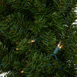 Northlight Pre-Lit Canadian Pine Artificial Christmas Wreath - 36" - Clear Lights Northlight