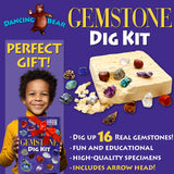 DANCING BEAR Gem stone Dig Kit, Excavate 16 Real Gems & Crystals including Arrowheads, Quartz Point and Amethyst, STEM Education for Kids, Fun Rock Mining Science Activity Gift Sets for Girls and Boys DANCING BEAR