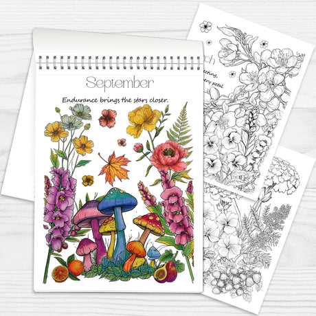 Set of 2 - Adult Coloring Book Seasonal Blossoms & Mandalas with Exquisite Patterns, Ideal Art for Women & Teens, Markers Recommended, Thick Paper, Spiral Bound, Anxiety and Depression, VKYE VKYE
