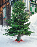 GuuG Real Christmas Tree Stand Base - Live Trees Small Christmas Tree Holder up to 6.5ft Trees for Real Xmas Trees 0.53 Gal Star+ Green&Red GuuG