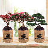 Sproutix Indoor Bonsai Garden Starter Kit, 5 Seeds Growing into Red Maple, Wisteria, Black Pine, Judas Tree, Acacia, Including Complete Gardening Planters & A Wooden Box, Christmas Gifts for Women SPROUTIX