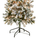 National Tree Company First Traditions Pre-Lit Acacia Flocked Tree Medium Christmas Tree, Clear Incandescent Lights, Plug in, 6 ft National Tree Company
