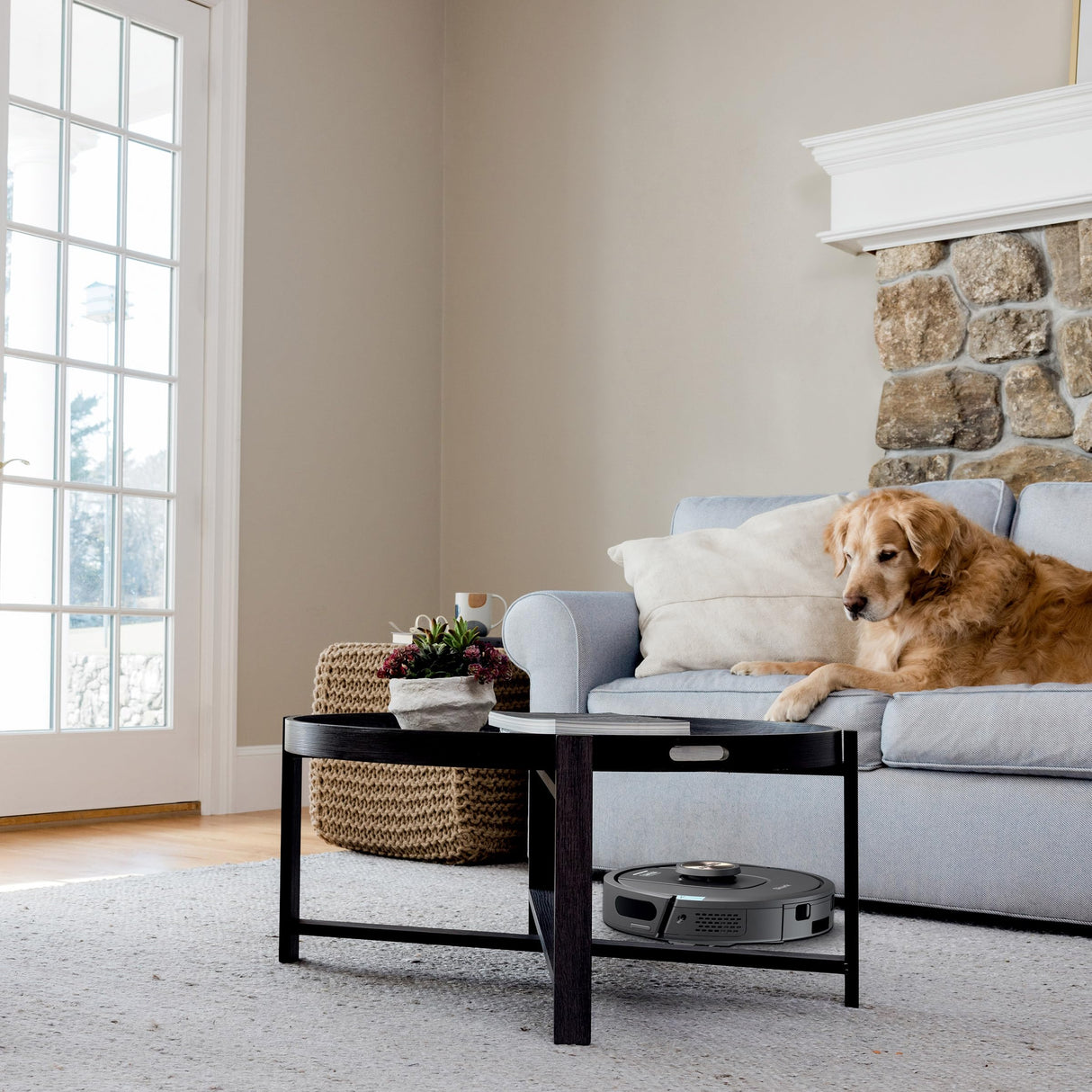 Shark UR2360S Ultra Robot Vacuum, with Matrix Clean, Precision Mapping, 30-Day Capacity HEPA Bagless Self Empty Base, Self-Cleaning Brushroll Perfect for Pet Hair, WiFi, Black (Renewed) Shark