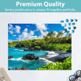 500 Piece Puzzles for Adults, Beach Jigsaw Puzzles 500 Pieces, Seaside Puzzles 500 Pieces for Adults, Ocean Jigsaw Puzzles, Funny Challenging Puzzles, Great Gift for Family Friends, 21 x 15 in Jeacirio