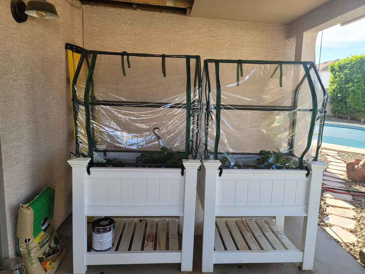 Gardzen Mini Greenhouse Heavy Duty Portable Green House, Clear Tent Indoor or Outdoor for Plants 36.2”(L) x36.2”(W) x42.5”(H) Gardzen