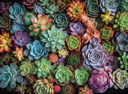 Cross & Glory - Succulent Symphony - 1000 Piece Jigsaw Puzzle for Adults | Premium Quality | Colorful Artwork Puzzle | Brain Teasing Fun & Perfect Wall Art