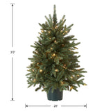 National Tree Company Artificial Christmas Tree For Entrances | Includes White Lights and Pot | Everyday Collections - 3 ft National Tree Company