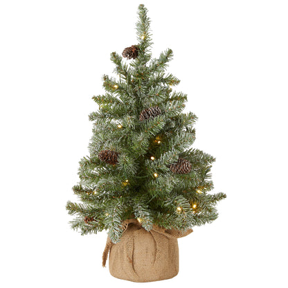 National Tree Company Pre-lit Artificial Mini Christmas Tree | Includes Small White LED Lights, and Cloth Bag Base | Snowy Concolor Fir - 2 ft