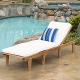 Christopher Knight Home Ariana Acacia Wood Chaise Lounge with Cushion, Teak Finish Christopher Knight Home