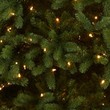 National Tree Company Pre-Lit 'Feel Real' Artificial Full Downswept Christmas Tree, Green, Douglas Fir, Dual Color LED Lights, Includes Stand and PowerConnect, 9 feet National Tree Company