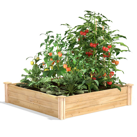 Greenes Fence Original Cedar Raised Garden Bed, 4' x 4' x 10.5" - Made in USA with North American Cedar Greenes Fence