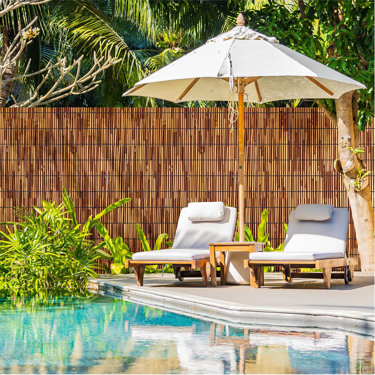 Natural Reed Fencing Rolls,6FT X 16.4FT Reed Screen Curtain Fence Covering Privacy Bamboo for Outdoor Backyard Patio Garden Decorative Fence (Brown) Tgzwme