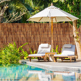 Natural Reed Fencing Rolls,6FT X 16.4FT Reed Screen Curtain Fence Covering Privacy Bamboo for Outdoor Backyard Patio Garden Decorative Fence (Brown) Tgzwme