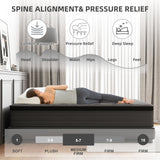 DAJIYUHC King Mattress, 12 Inch Hybrid Mattress in a Box, Memory Foam and Pocket Springs, Medium Plush Feel with Motion Isolating, CertiPUR-US Certified, Fiberglass Free -365-Night Trial DAJIYUHC