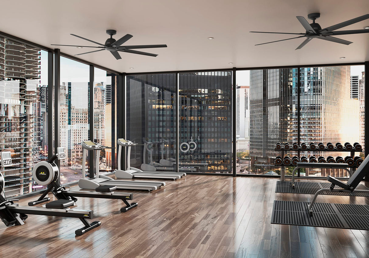 Hunter Fan Company 51592 Downtown Ceiling Fan, Matte Black Hunter