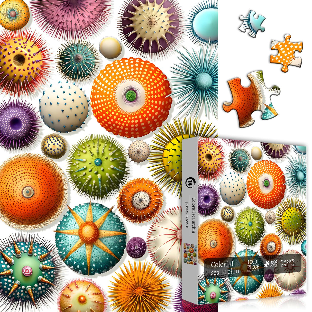 PICKFORU Colorful Sea Urchin Puzzles for Adults 1000 Pieces, Ocean Beach Puzzle, Challenging Puzzles for Adults, Nature Hard Jigsaw Puzzles PICKFORU