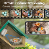 Birdkiss Smart Bird Houses for Outside Solar Powered, 1080P HD Live View Birdhouse with Camera, Perfect Viewing Bird Nesting and Hatching, Ideal Outdoors Bird House for Blue Bird and Cardinal (Green) Birdkiss