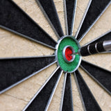 Bristle Dart Board, Tournament Sized Indoor Hanging Number Target Game for Steel Tip Darts- Dartboard with Mounting Hardware by Hey! Play! Hey! Play!