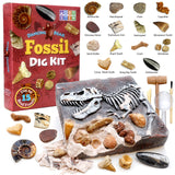 DANCING BEAR Fossil Dig Kit, Excavate 15 Prehistoric Fossils Including Real Dinosaur Bones and Shark Teeth, Paleontology STEM Education for Kids, Fun Science Activity Gift Sets for Girls and Boys DANCING BEAR