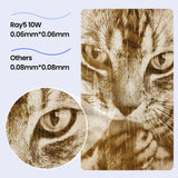 LGT Longer RAY5 Laser Engraver, 10W High-Precision Laser Engraver, Compressed Spot CNC, App Offline Control, DIY Engraving Tool for Metal/Glass/Wood, Engraving Area 15.7 "x15.7", Laser Class 2 Longer