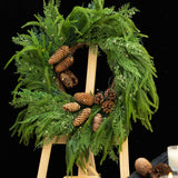 24 Inch Real Touch Norfolk Pine Wreaths for Front Door, Soomeir Artificial Christmas Wreath Green Faux Pine Wreath for Wall Windows Mantle Outdoor Christmas Decoration Soomeir