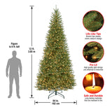 National Tree Company Pre-Lit Artificial Slim Christmas Tree, Green, Dunhill Fir, White Lights, Includes Stand, 12 Feet National Tree Company