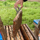 XCSY Stainless Steel Frame Gripper -, 2PCS, Beehive Frame Gripper, Beehive Frame Lifting Tools, Beekeeping Tools, Beehive Frame Holder with Wooden Handle for Beekeeping XCSY