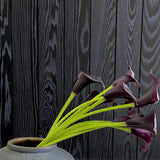 Timeline True Black Farmhouse Oak Shiplap 5/16” in. x 5.5 in. x 72 in. Solid Wood Panels, (6-Pack) Timeline