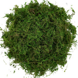 USMOLA Artificial Moss, 16OZ Fake Moss for Crafts, Decorative Centerpieces, Fairy Garden, Wedding Party Decor, Faux Potted Plants, 455gr (Fresh Green) USMOLA
