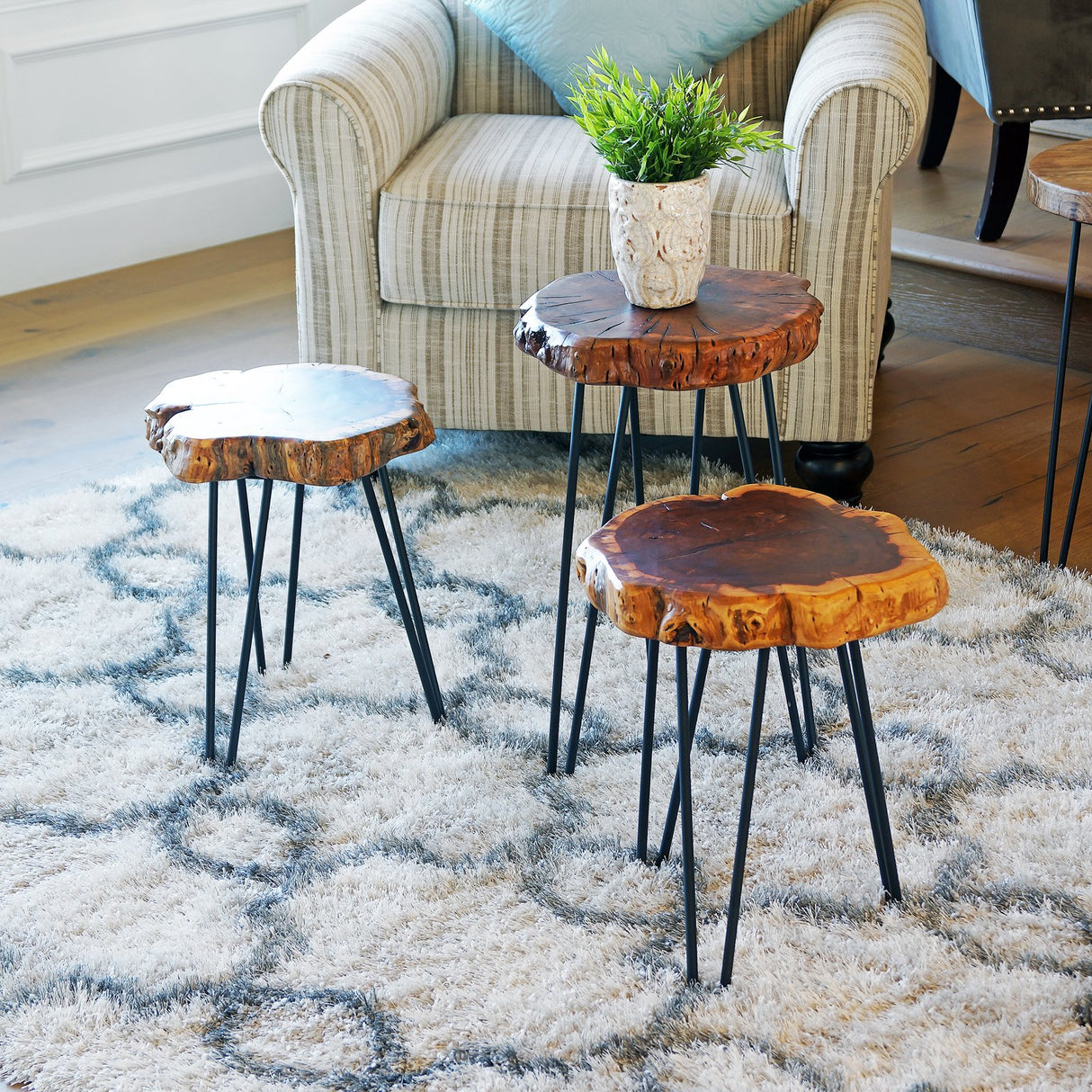 WELLAND Unique Shape Natural Wood Stump Rustic Surface End Table WELLAND