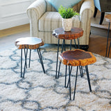 WELLAND Unique Shape Natural Wood Stump Rustic Surface End Table WELLAND