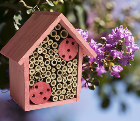 Cestari Mason Bee Housse for The Garden – Rose Pink Handmade Wooden Solitary Bee Hotel with Hanging Design for Pollinators – Eco-Friendly Nesting Shelter Cestari