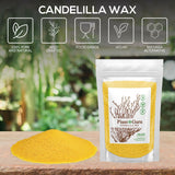 Candelilla Wax Pellets 4 oz. 100% Pure Natual Food Grade Vegan Wax For DYI Lip Balm, Soap and Candle Making, Creams and Lotions. Great For Skin, Face, and Hair applications. Beeswax Alternative Plant Guru