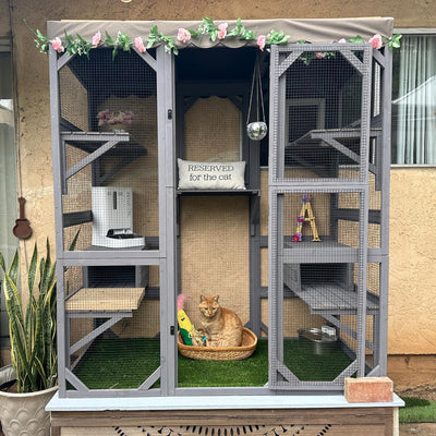Aivituvin Cat House Outdoor Catio Kitty Enclosure with Super Large Enter Door,Wooden Cat Cage Condo Indoor Playpen with Platforms,Small House,70 Inch