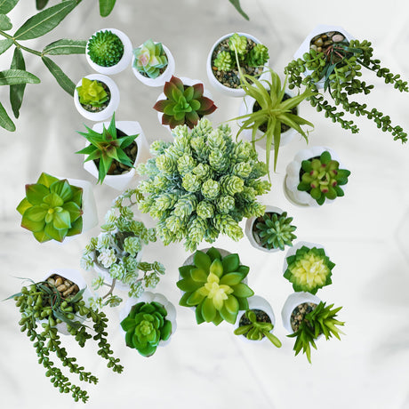 Winlyn 19 Pcs Assorted Artificial Succulents Plants Unpotted Small Green Aloe Hops Cactus String of Pearls Picks Fake Succulents Bulk for Succulent Garden Floral Arrangement Indoor Outdoor Home Decor Winlyn