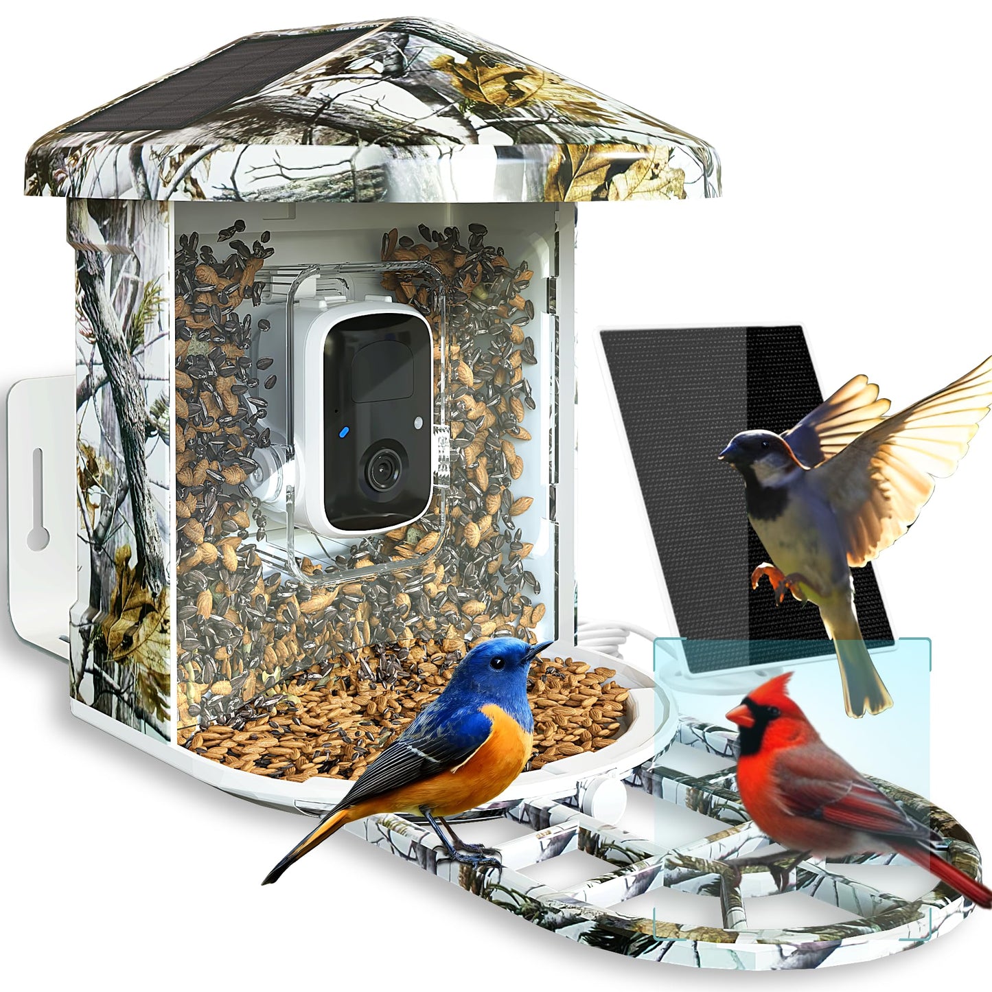 DCT Smart Bird Feeder with Camera Dual Solar Powered, Bird Feeder Camera Wireless Outdoor, Auto Capture Videos & Motion Detection-AI Identify 11,000+ - WoodArtSupply