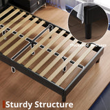 LIKIMIO Twin Bed Frames with Lighted Headboard, Upholstered Modern Cama Twin Platform Bed with Heavy Duty Supports, No Box Spring Need, Noise Free, Easy Assembly, Black LIKIMIO