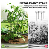 Outsunny 2PCS Galvanized Raised Garden Bed, 7' x 3' x 1' Raised Beds for Gardening with Plant Support Stakes, Rubber Strap Edging and Gloves, Metal Planter Box for Vegetables, Flowers, Silver Outsunny