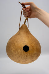Gourd Birdhouse, Unfinished, Craft Ready, Box of 3 Gourdaments