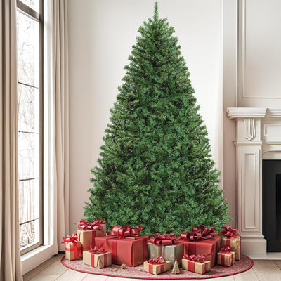 DWVO Unlit Full Artificial Christmas Tree 6ft, Green Realistic Fake Spruce Christmas Xmas Trees with 880 Branch Tips and Foldable Stand Easy Assembly Seasonal Holiday for Home Office Party Decoration