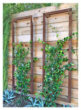 TERRA TRELLIS Ina Modern Wall Trellis for Outdoor Plants | Garden and Home Climbing Vines Wall Trellis | Modern, Steel & Durable | Large (Oxide) Terra Trellis