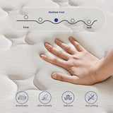 Twin XL Mattress, 12 Inch Mattress Twin Xl in a Box, Individually Wrapped Pocket Coils for Isolate Motion,Pressure Relief, CertiPUR-US Certified, Support Comfort & Firm （80"L x 39"W x 12"Th） SupremeSleep